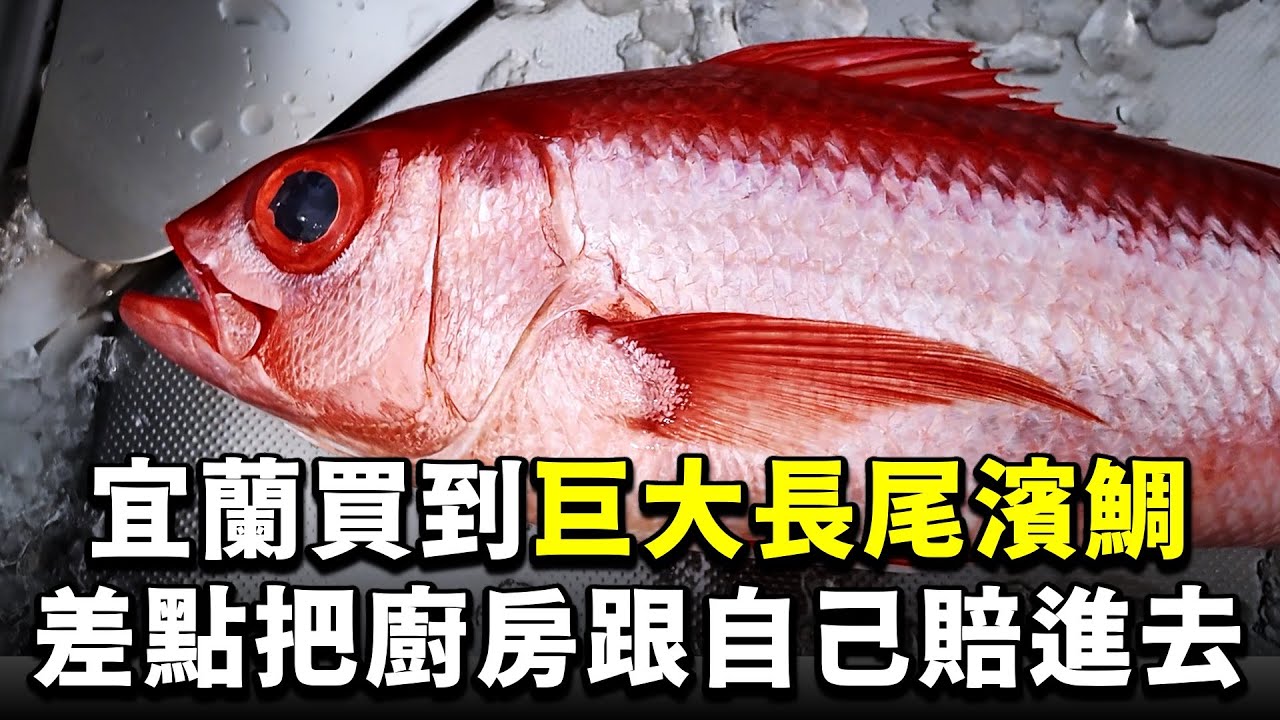 如何30秒內快速去除魚鱗？ 這是我在新廚房處理過最大隻的魚，差點讓新廚房報銷了