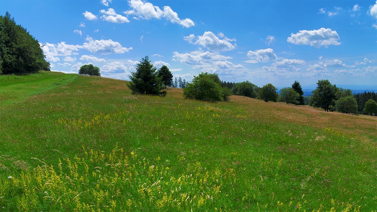 Hoherodskopf
