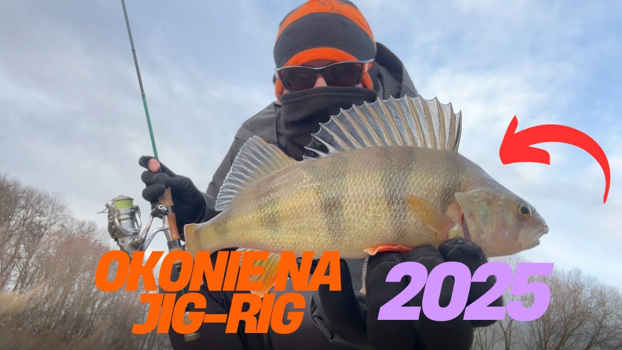 Окунь, метод джиг-рига UL 2025, короткий тест каролинского рига.