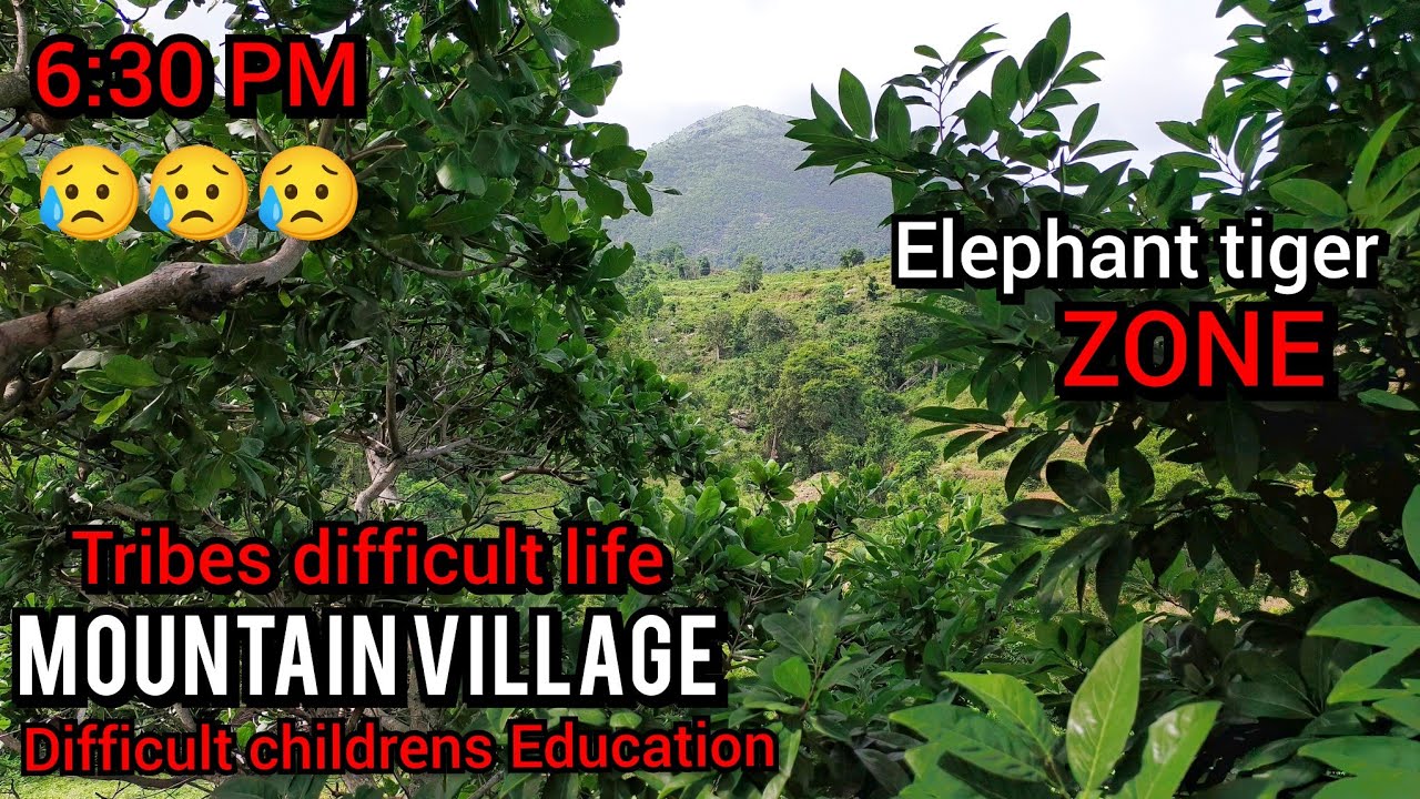 அடர்காட்டு ஒற்றையடிபாதை இருள்கவிய துவங்கியது! பள்ளிசென்ற தமிழரசி இன்னும் வீடு திரும்பவில்லை!|TRIBES