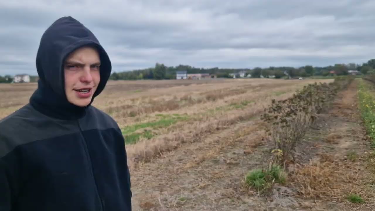 Jakie zmiany w porzeczkach czarnych TISEL?- CO DALEJ Z PORZECZKĄ?