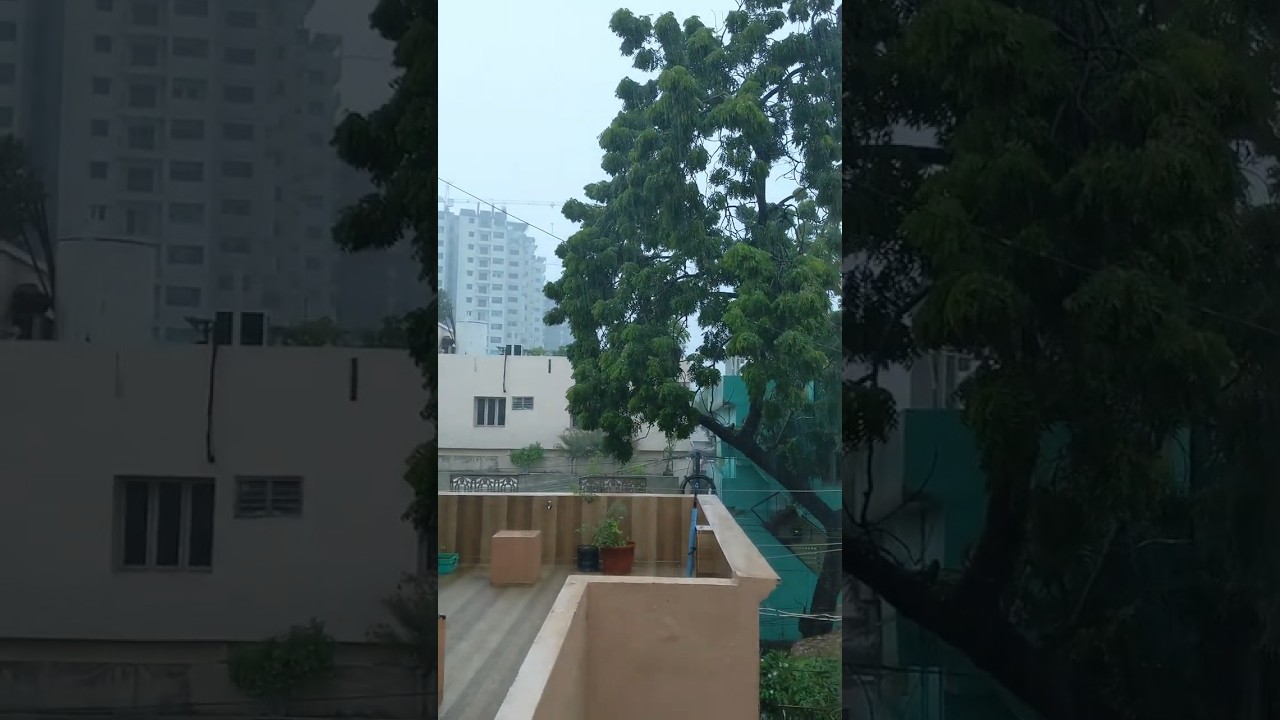 Today Rain in Guntur 🌧️ | Guntur Rain Video #Guntur #GunturRain #RainVideo  #RainyDay #MonsoonVibes