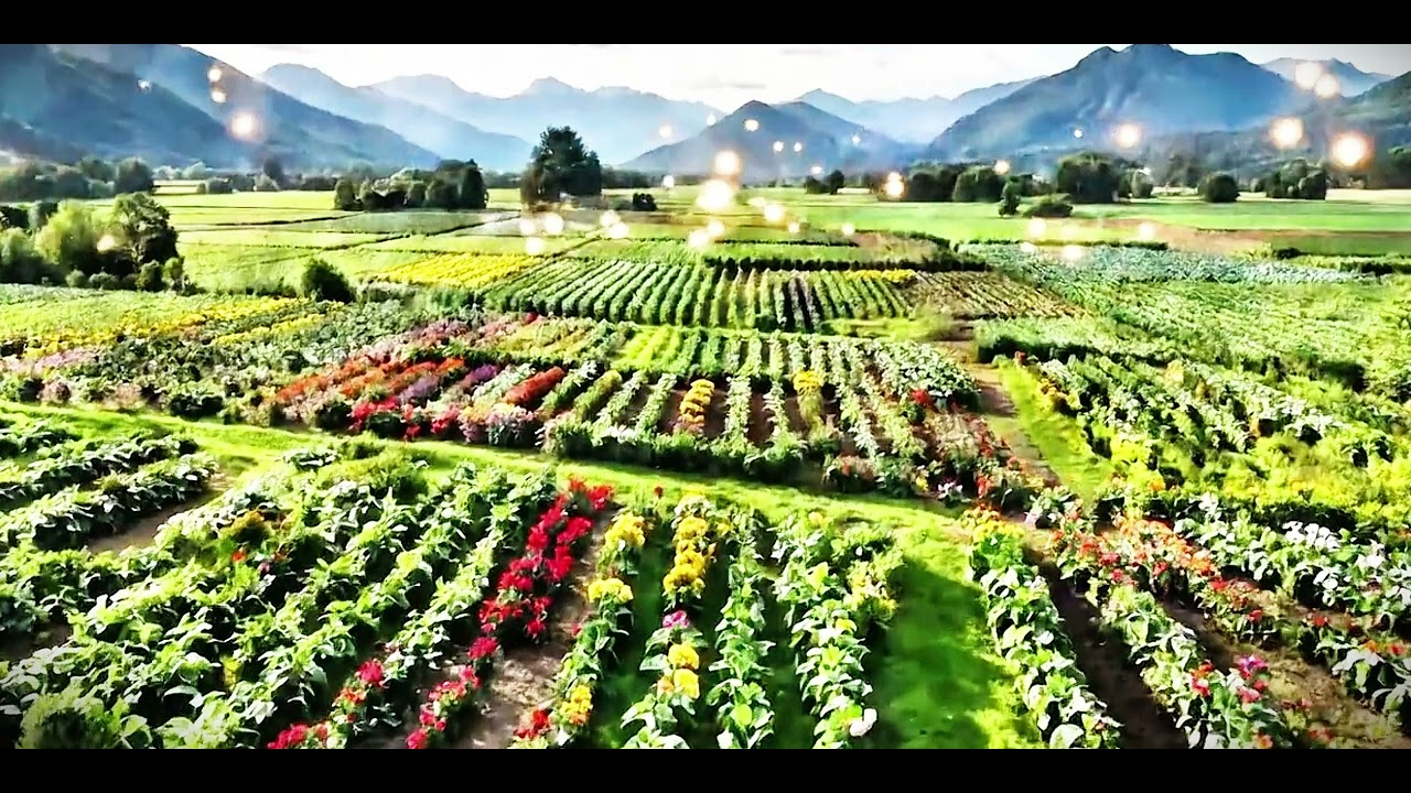 鋼琴輕音樂演奏系列BGM【168】Piano Light Music Series BGM【168】