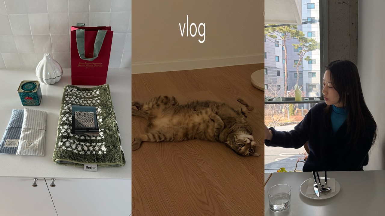 vlogㅣ신혼집 꾸미기ㅣ자라홈, 베르헤 러그, 산타마리아노벨라 포푸리ㅣ연희동 나들이ㅣ산스밀, 비전스트롤ㅣ 콘센트 셀프 교체하고 고양이와 느긋한 휴일 보내기.🏡