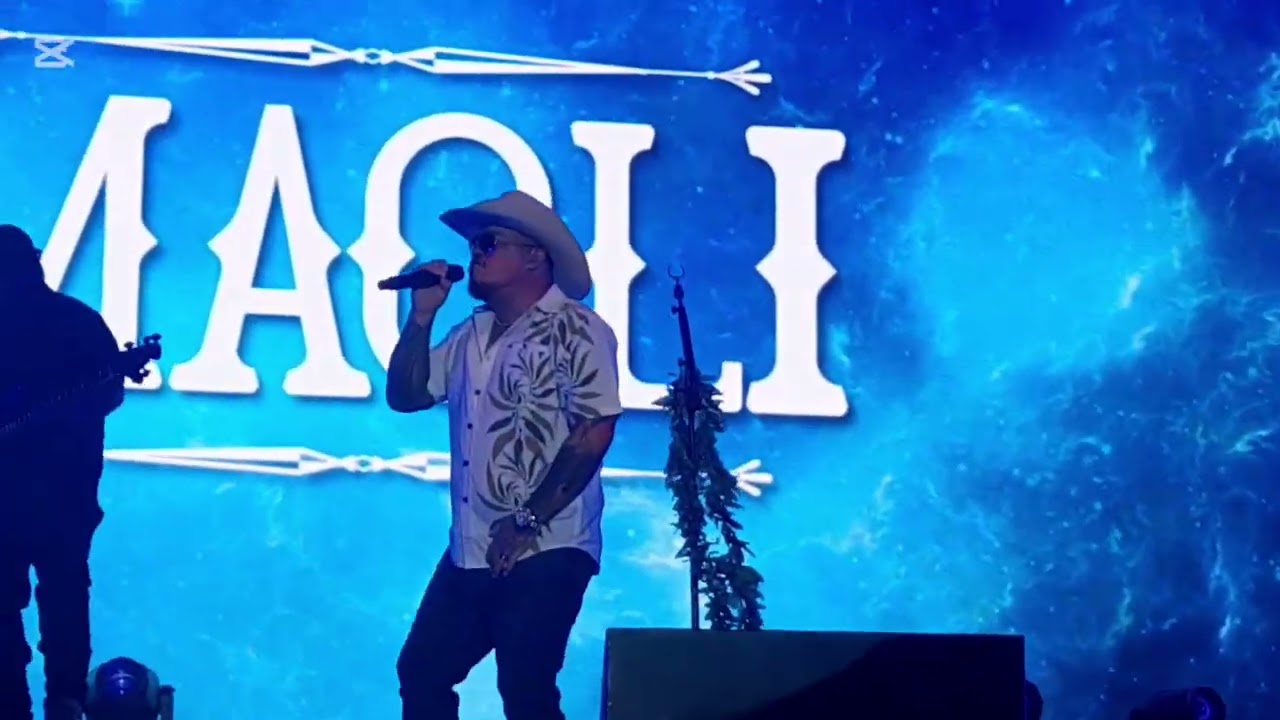 My amazing experience at Maoli concert at Waitangi park,Wellington, Aotearoa