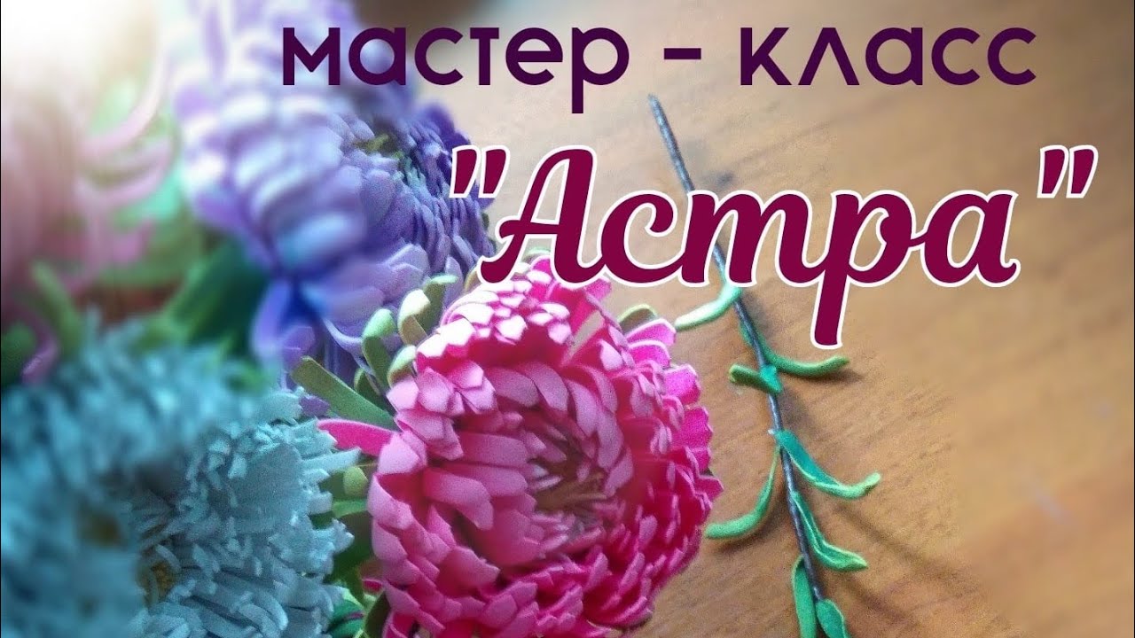 Мастер-класс  'Астра из фоамирана'. Евгения Щедрина