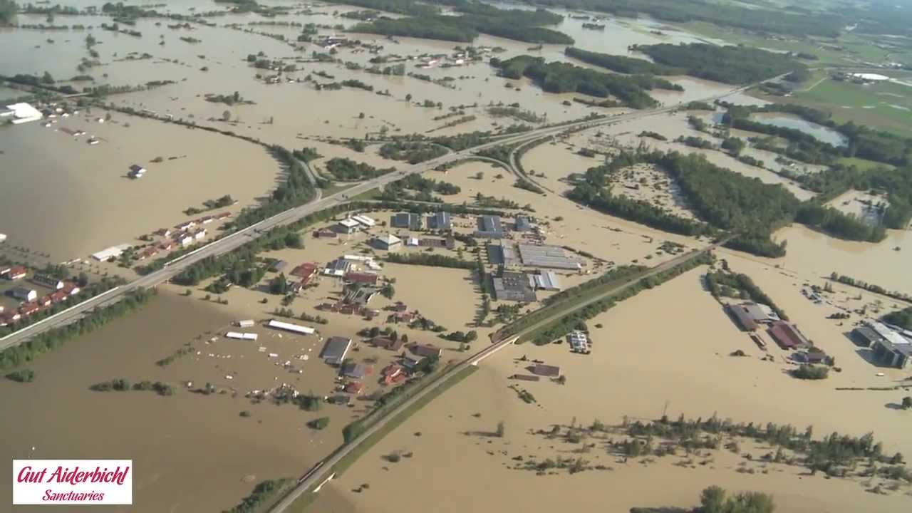 Gut Aiderbichl: Szenen von den Hochwasser-Tieren in Deggendorf