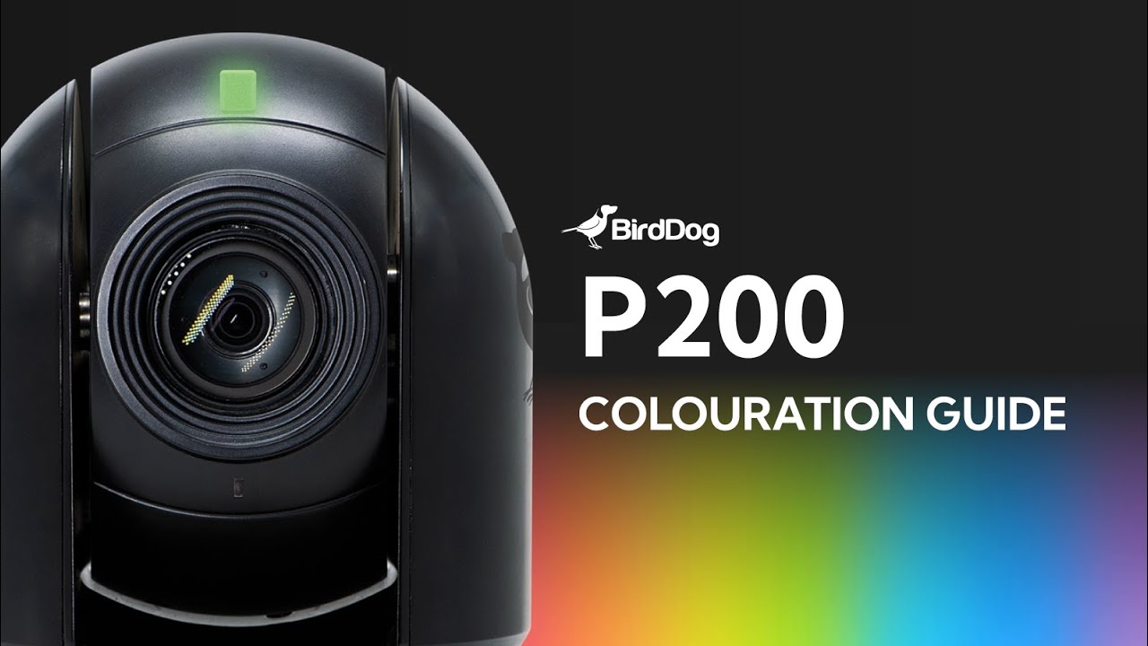 P200 Colouration Video