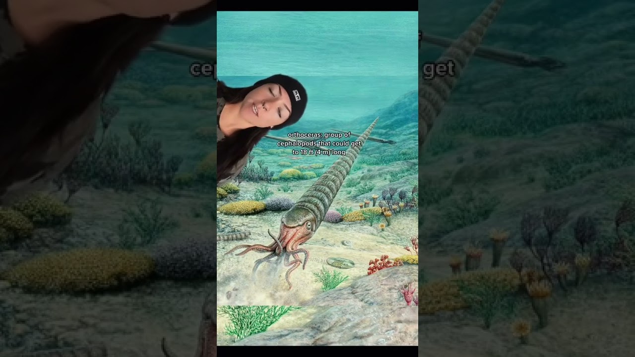 HISTORY OF LIFE: PART 2