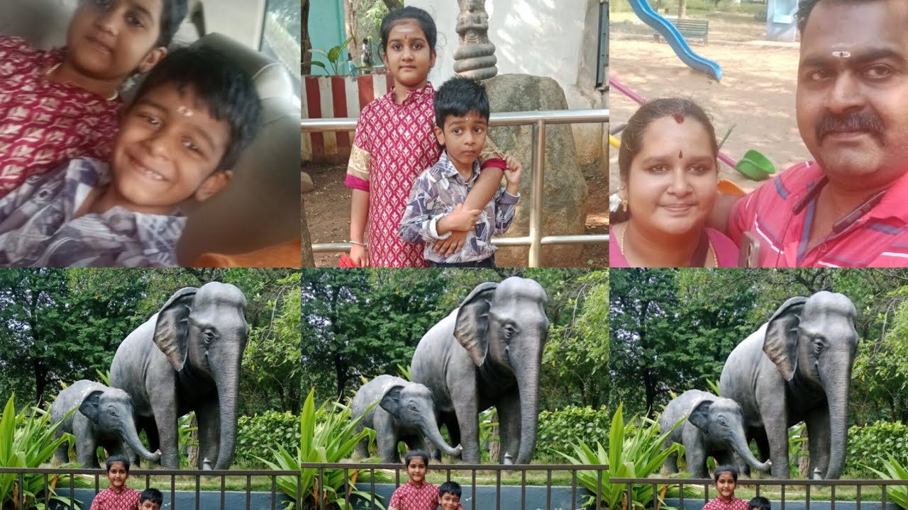 National park 🏞️ Guindy A must visit place 