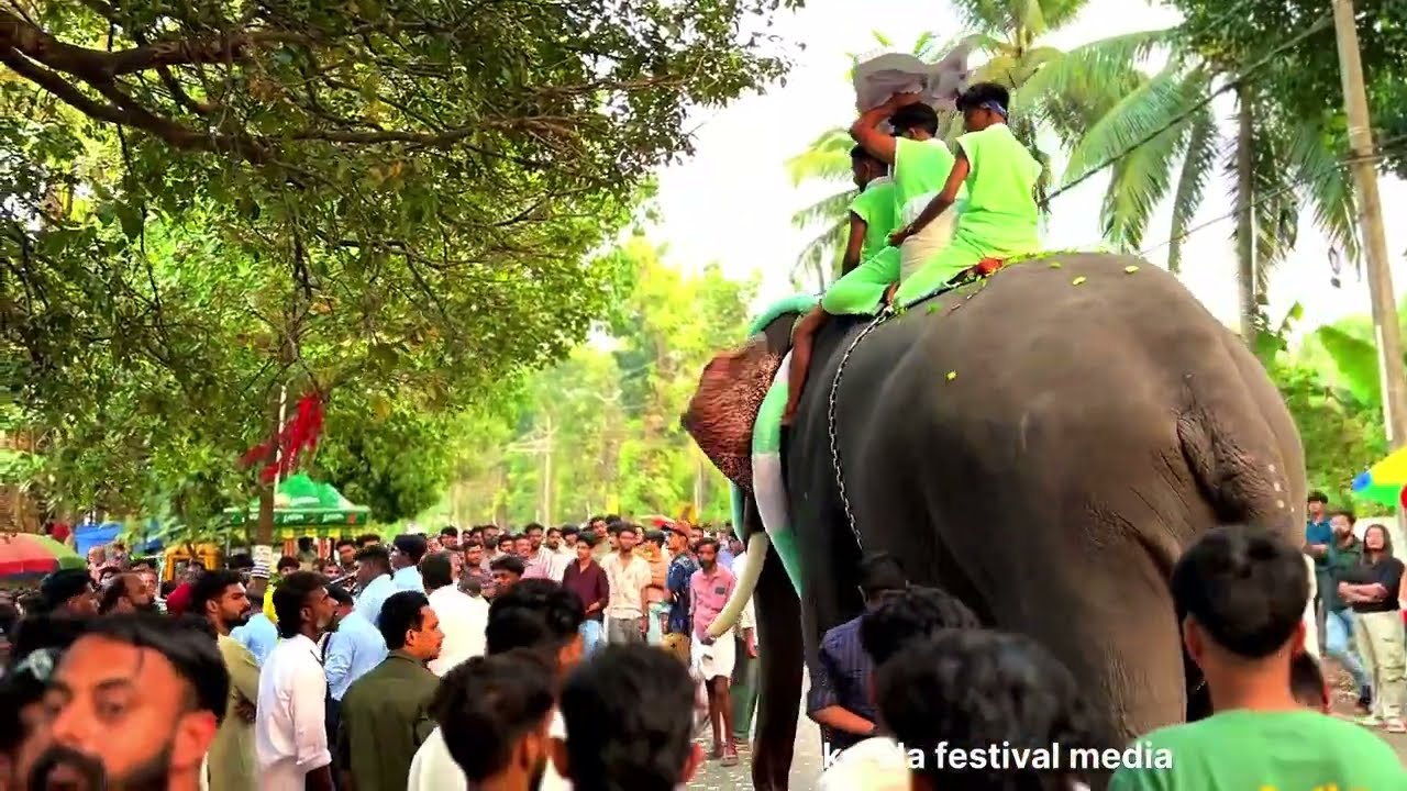 പെരുമയോടെ പെരുമ്പിലാവ് ഫെസ്റ്റ് 2025🔥🔥💕💕| perumpilavu fest | kerala festival |nercha
