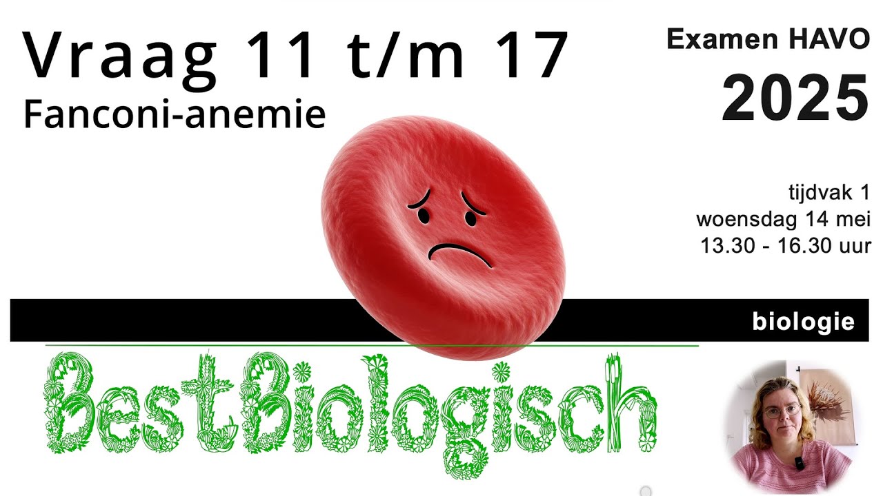 Biologie examen HAVO 2025 1e tijdvak vraag 11 t/m 17