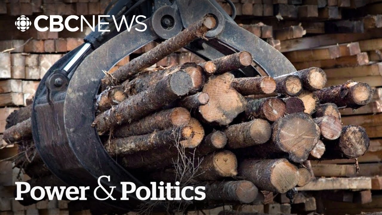 B.C. told softwood lumber is &lsquo;top priority&rsquo; for Ottawa: minister | Power & Politics