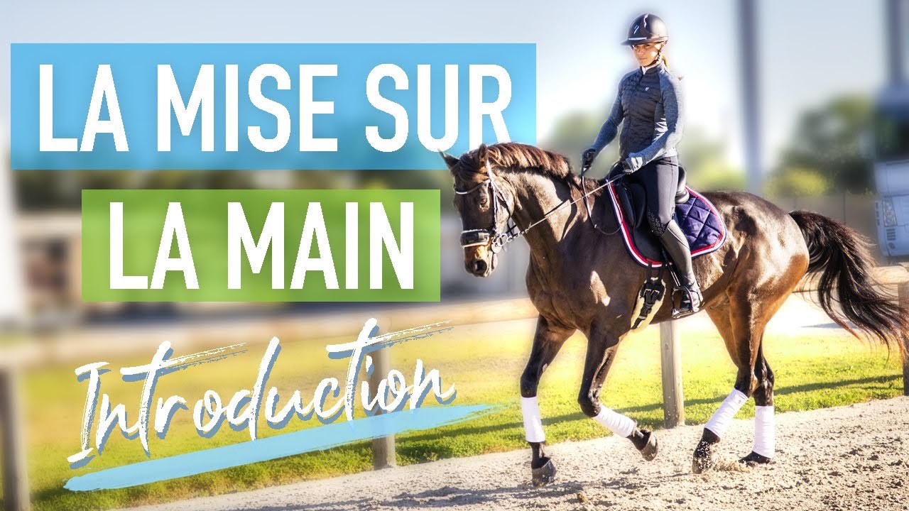 COMMENT METTRE SON CHEVAL SUR LA MAIN - Quest ce que c'est ? Pourquoi et comment ?