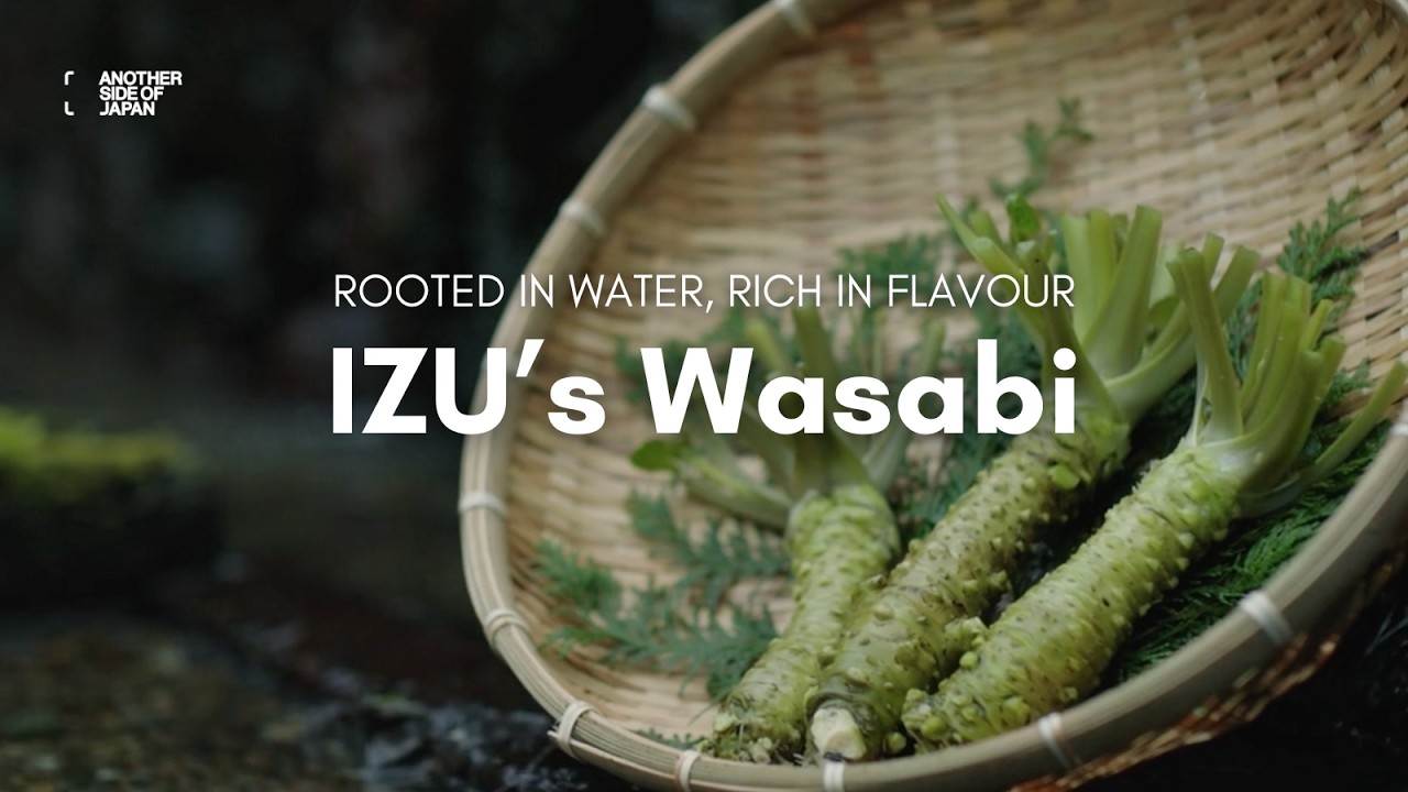 SHIZUOKA | Flavours of Izu: Rooted in Water, Rich in Wasabi