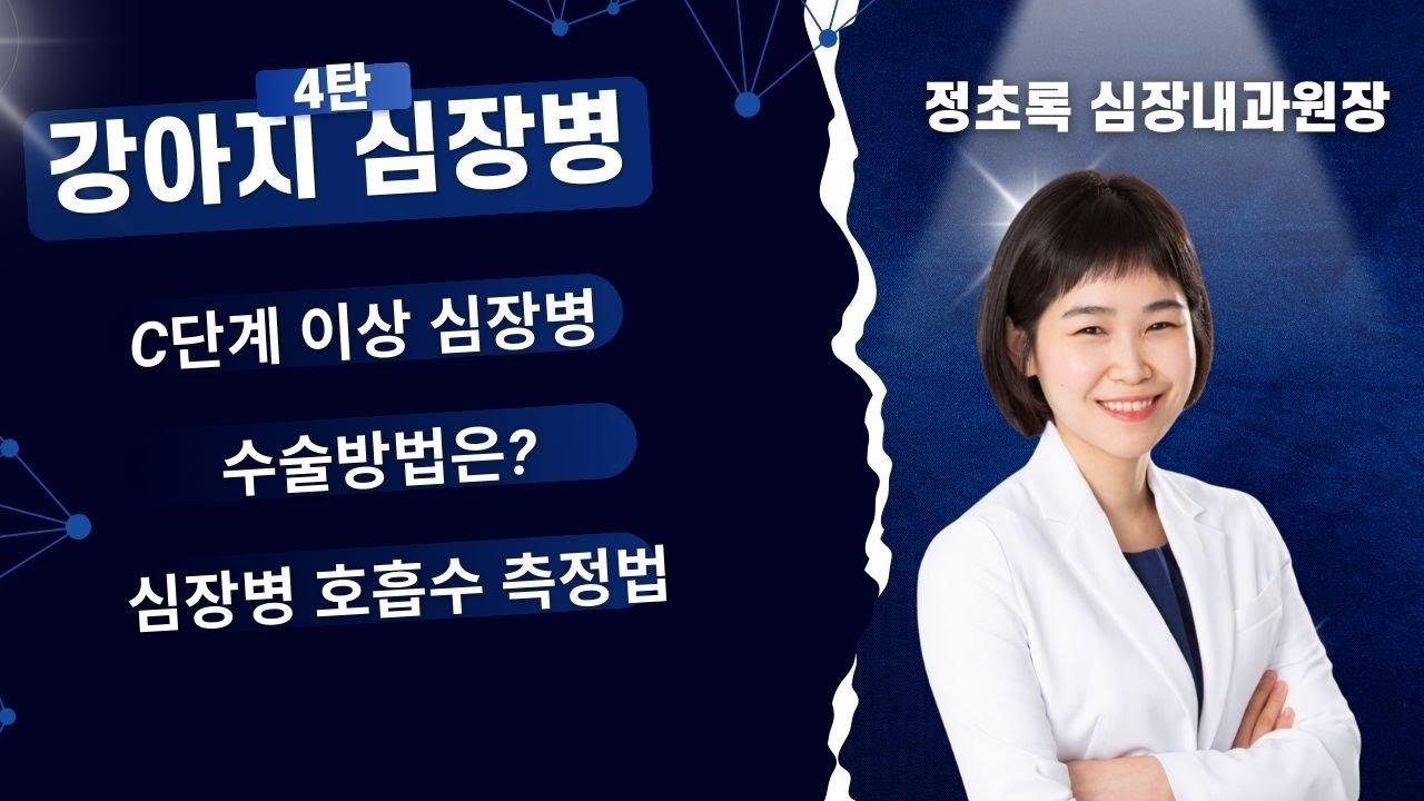 강아지 심장병 C단계와 D단계, 폐수종 원인과 증상 치료법까지! #강아지심장병