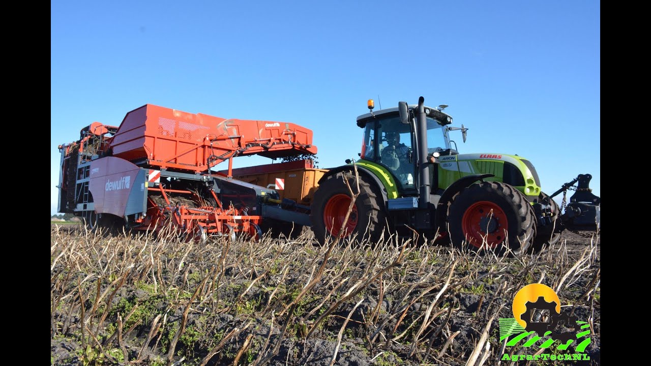 Zetmeelaardappels rooien met Dewulf RQ 2060 en Claas Arion 630