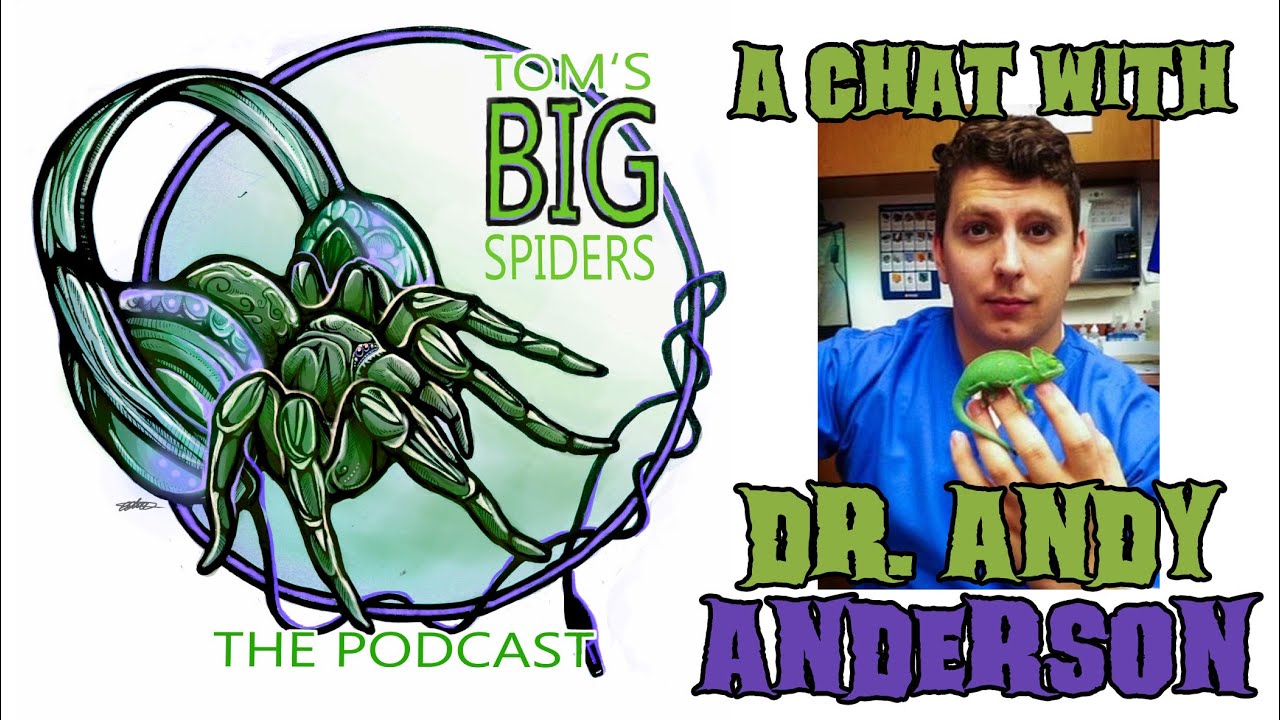 A Conversation with Veterinarian Dr.  Andy Anderson About Tarantula Health Pt. 1 (TBS Podcast).