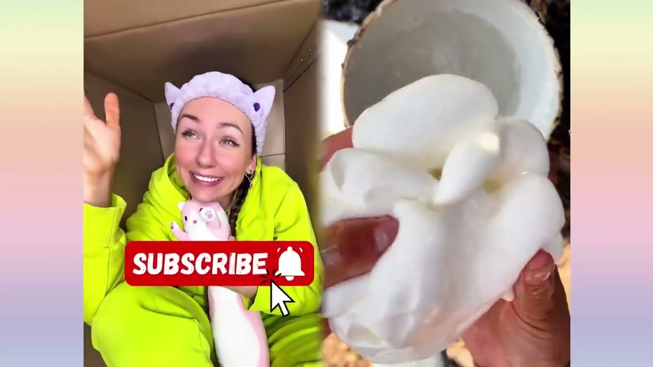 🤣👌👌👌2025 pov Must Watch Crazy Clips Compilation #humor #fypシ #pov #fyp #foryou 😍😜