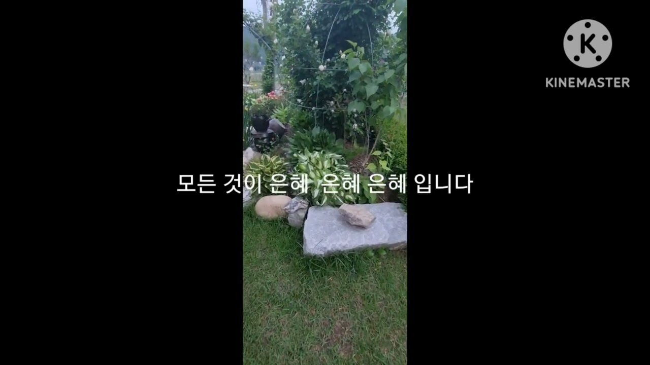 은혜 에어로폰 연주 (찬양'감사)