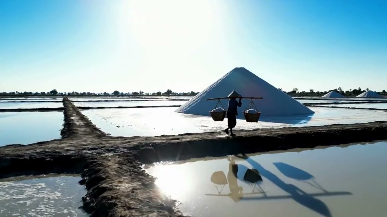 White Crystal Fields (Preservation) - Battambang Artist | Heavy Dub Reggae