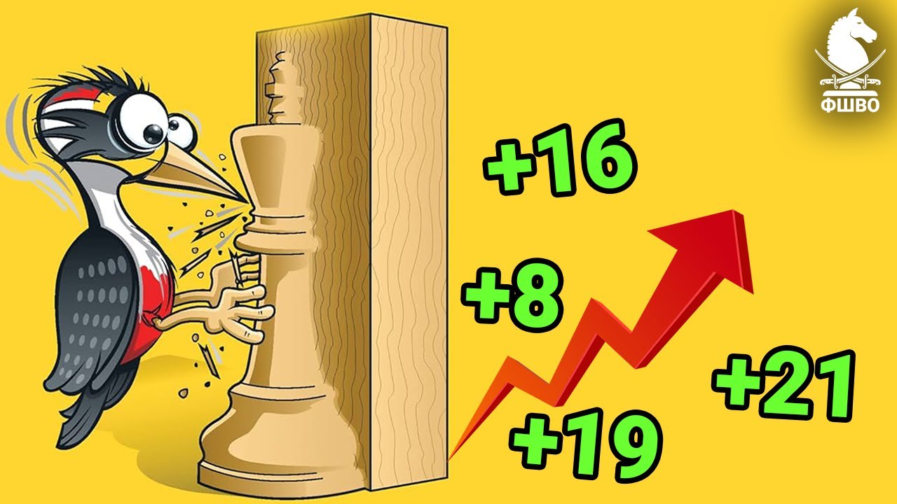 МЕТОД ДЯТЛА: як збільшити рейтинг на 200 пунктів за 3 місяці