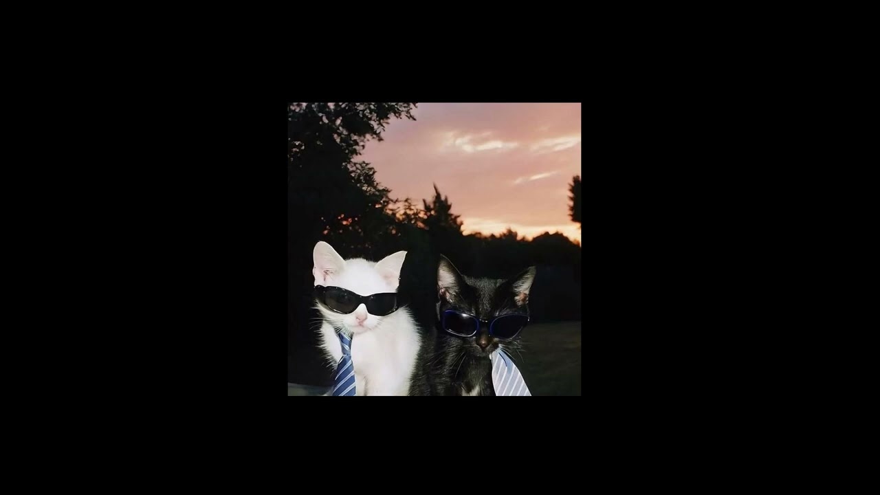 [free] Три дня дождя x Пошлая молли x Pop Rock Type Beat 