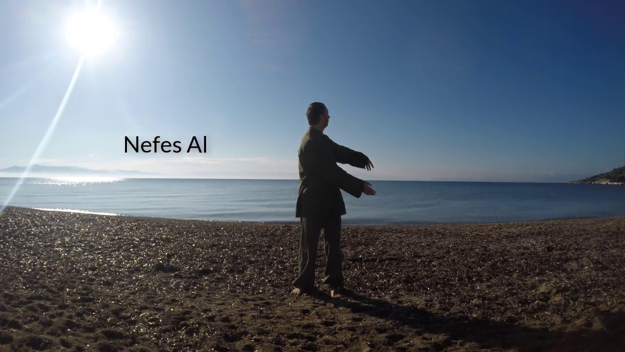 Tai Chi Qigong Shibashi Set 1 - Ayhan Güler