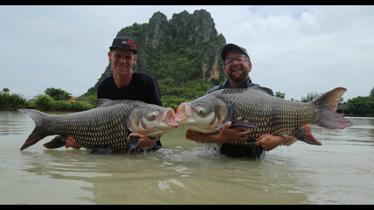Fishing in Thailand @ Jurassic Mountain Resort and Fishing Park: Alan Blair and Martin Bowler