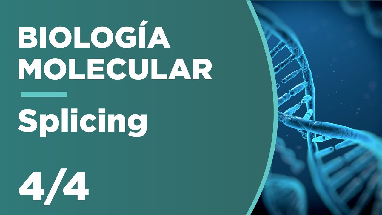 SPLICING y Splicing Alternativo | Biología Molecular 4/4