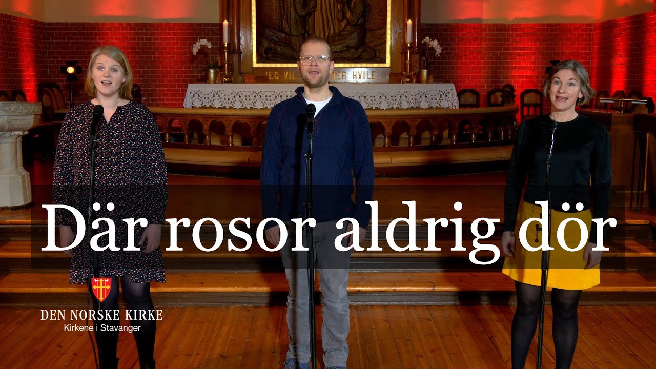 Där rosor aldrig dör