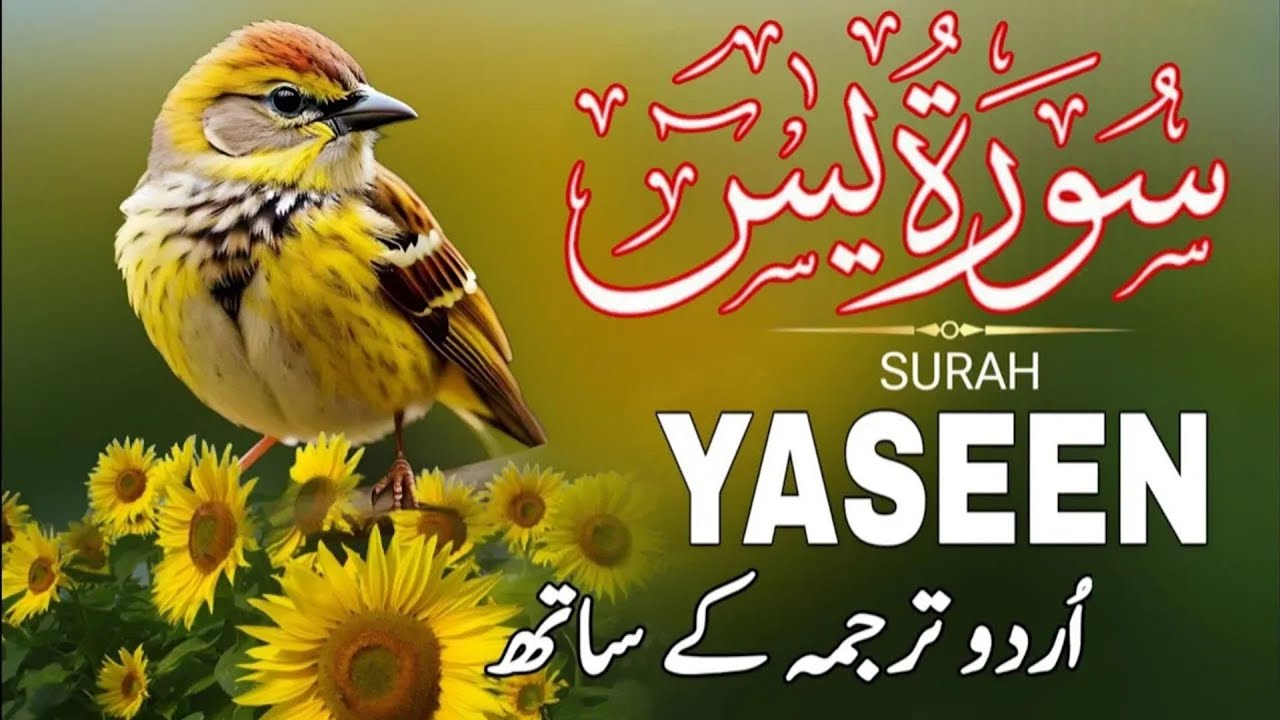 Surah Yaseen | Surah Yaseen With Urdu Translation | Episode - 453