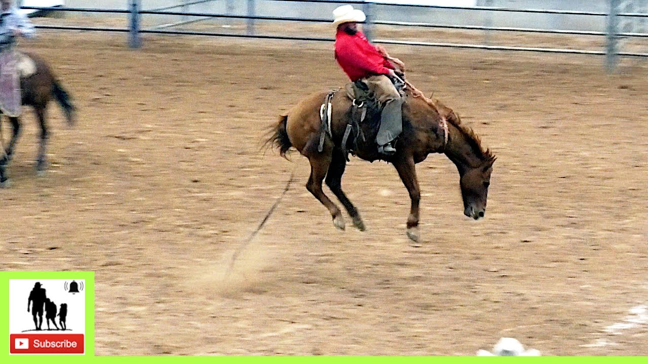 Bronc Riding - 2024 West Texas Ranch Rodeo | Saturday