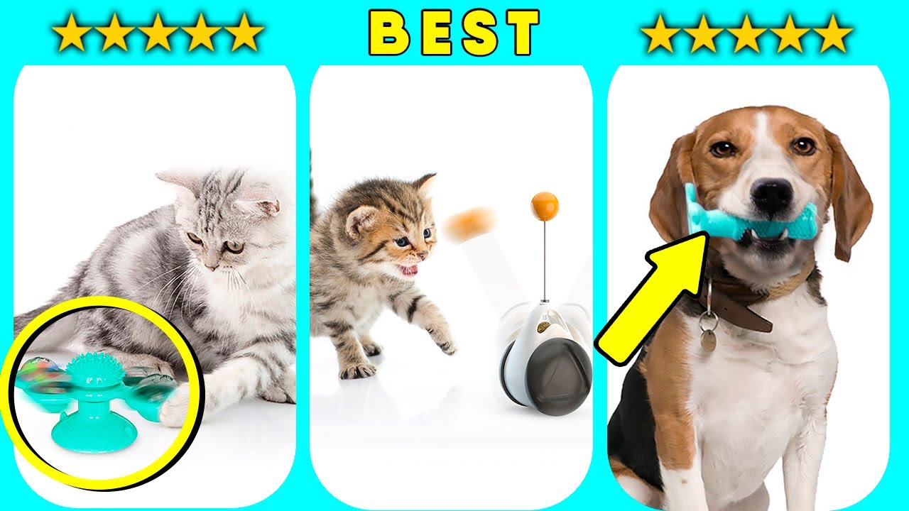🥇TOP 15 BEST Pet Gadgets on ALIEXPRESS 😍 Products for Cats & Dogs #2 | Pet Haul & Shop