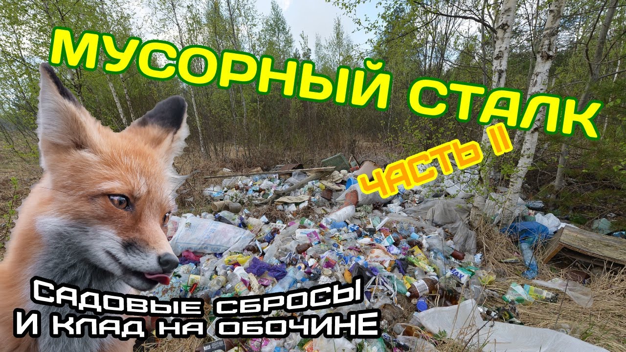 Мусорный сталк (добиваю секретную свалку и клад на обочине). Часть II.