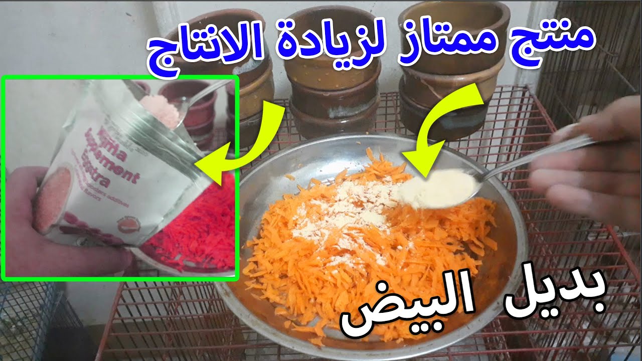 البيض المجفف لو طيورك مش بتحب البيض المسلوق