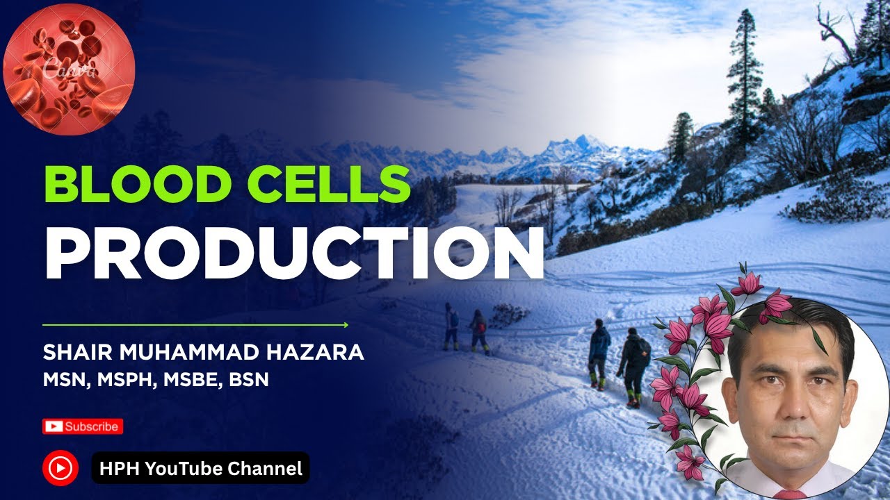 Blood Cell Production from Stem Cells | CMP vs CLP | Hematopoiesis Explained