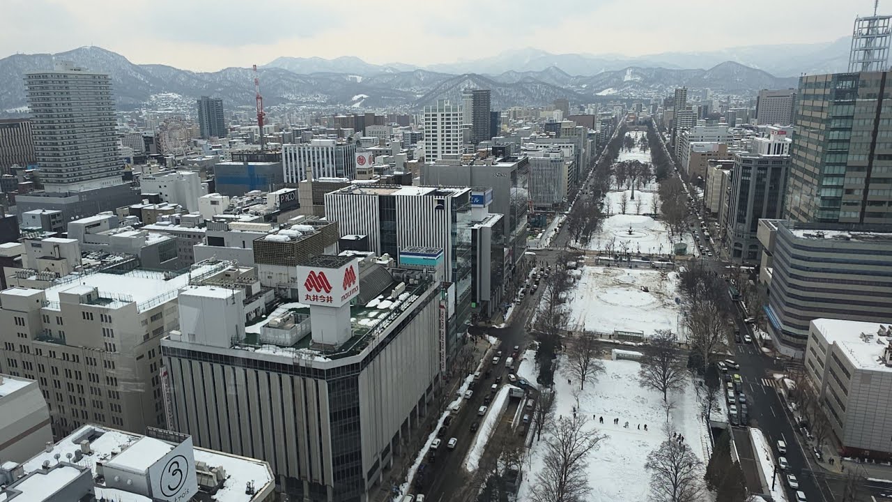 View from Sapporo TV Tower & Giant Ferris Wheel of Sapporo