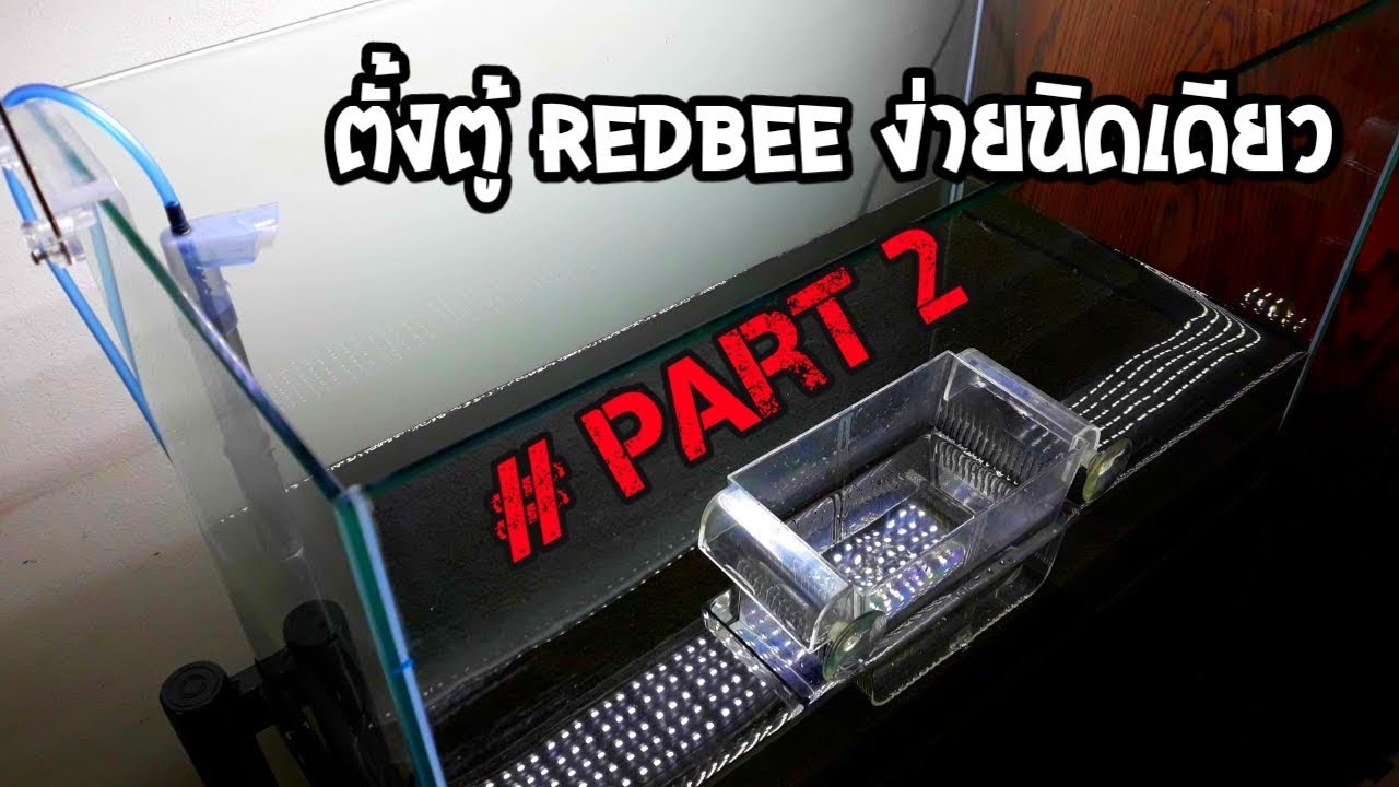 EP.4 ตั้งตู้ REDBEE ง่ายนิดเดียว #Part2