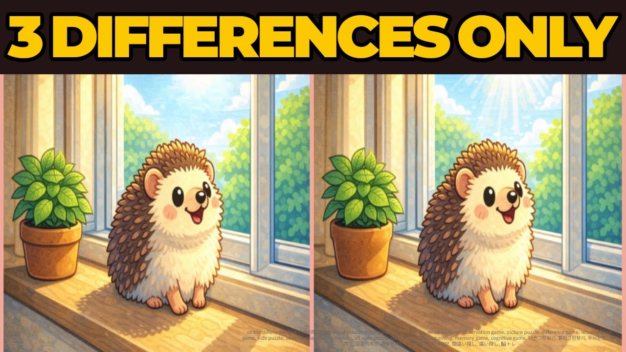 【Spot the Difference | 間違い探し】Focus Test 🎯