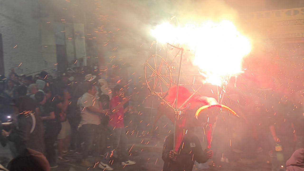 Domingo de toritos en zapotitlán 
