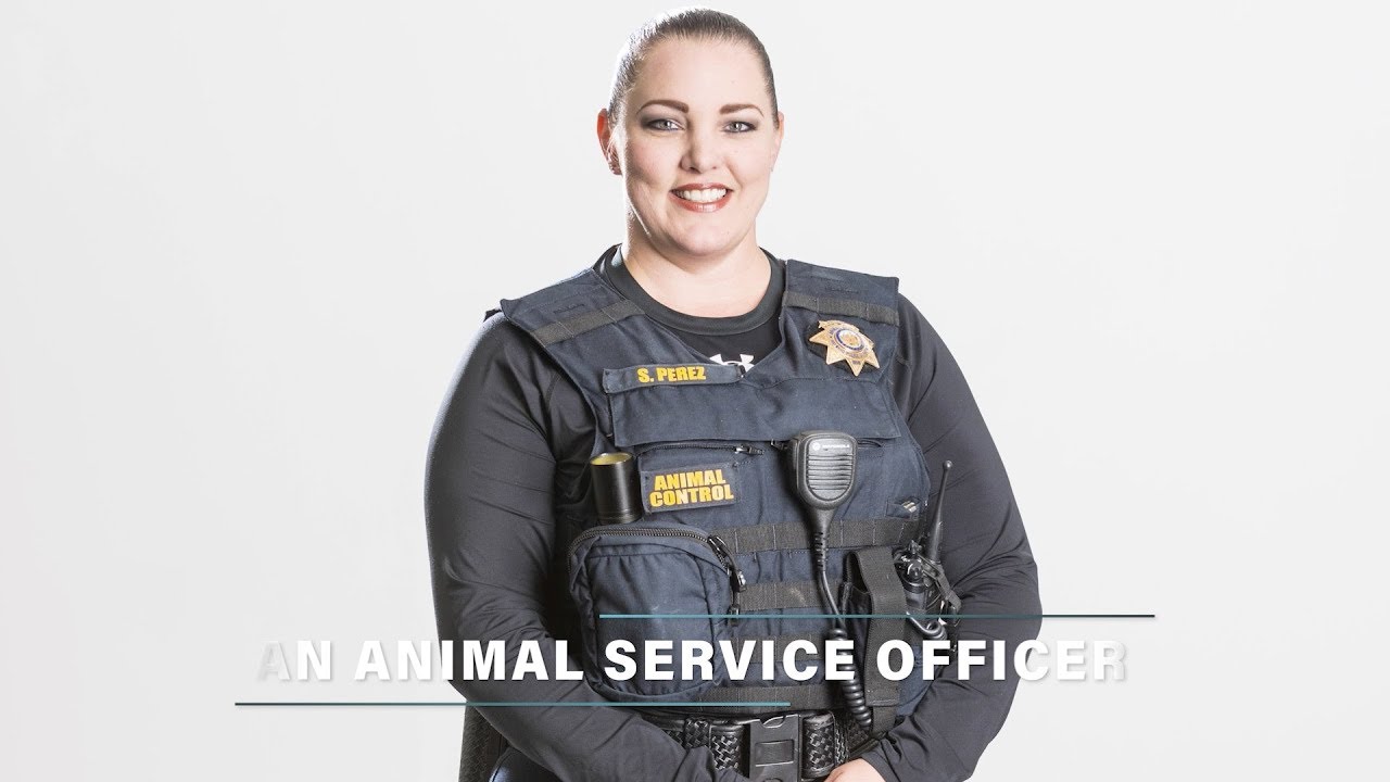 Careers in Law Enforcement - California Law Enforcement Jobs