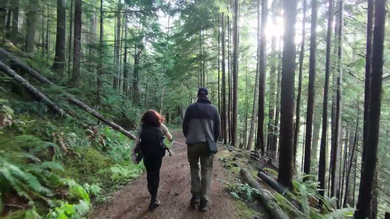 Rainforest Walk: Exploring Olympic National Forest with Caitlin in Washington