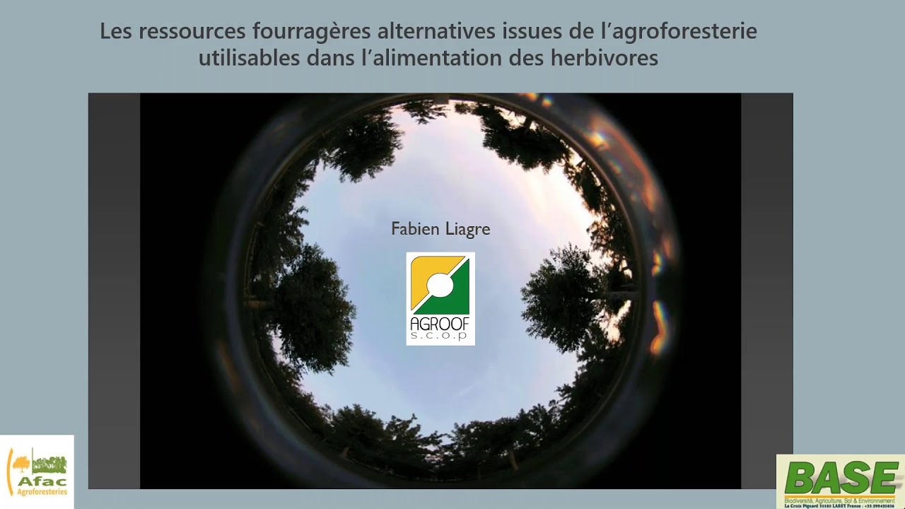 Webinaire IRD Elevage 2020 – Les ressources fourragères alternatives issues de l’agroforesterie