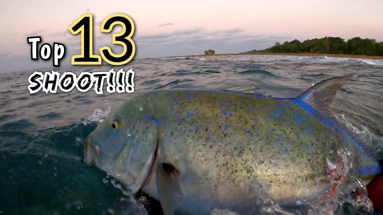Top 13 Best Moments Compilation 2023 | Spearfishing Indonesia