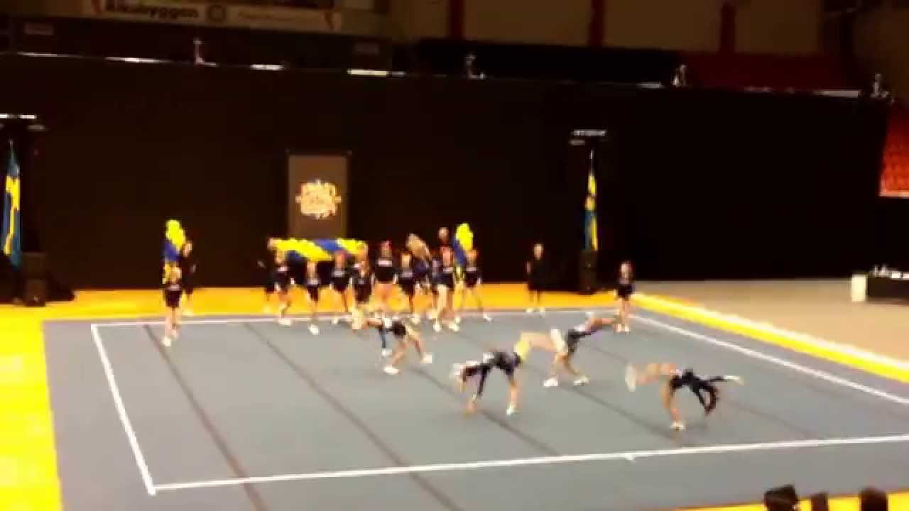 Power cheer & dance Cats - Rm 2014