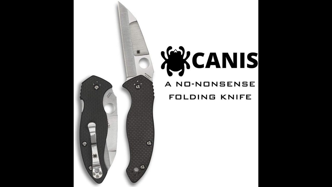 Слабость к ножам типа Wharncliffe и одобрение от Shabazz. Spyderco Canis из Тайчжуна, Тайвань