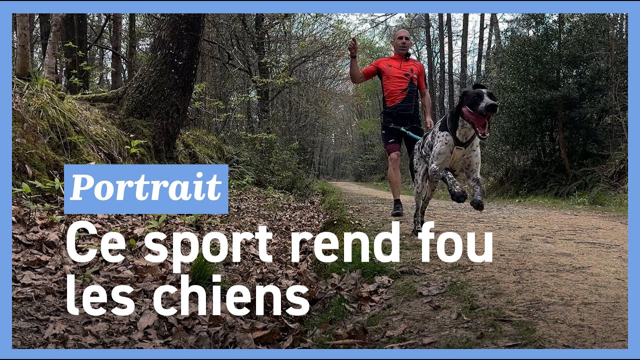 Le canicross, ce sport où l'Homme et le chien ne font qu'un
