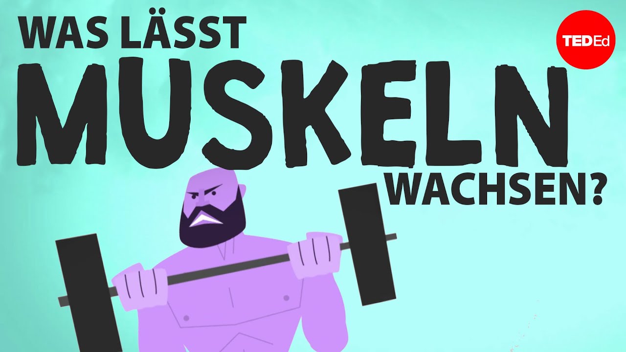 Was lässt Muskeln wachsen? – Jeffrey Siegel