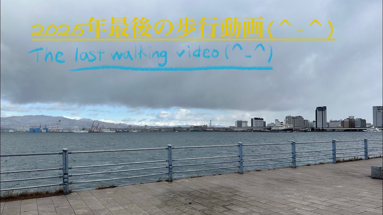　2025年最後の歩行動画（＾_＾）